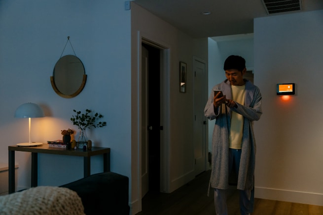 Vivint Tampa smarthome automation